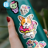Waterflesstickers