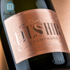 Champagne fles metaalachtig sticker label